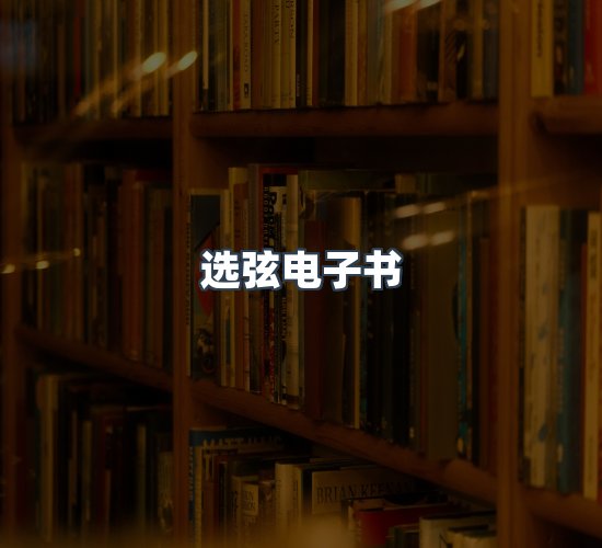 关于选弦电子书